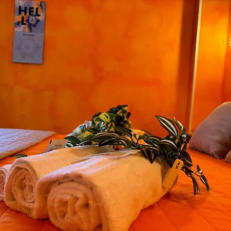 Summer Dream Aparthotel 3*
